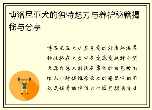 博洛尼亚犬的独特魅力与养护秘籍揭秘与分享