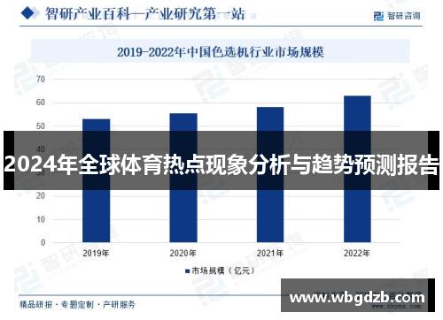 2024年全球体育热点现象分析与趋势预测报告